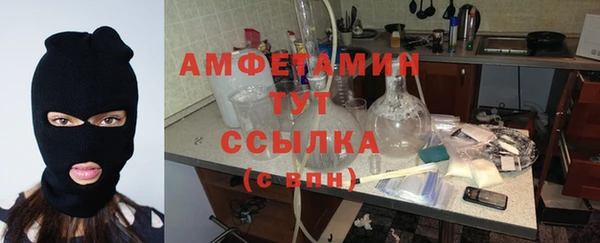 трава Богородицк