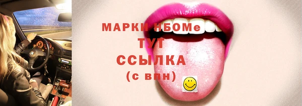 PSILOCYBIN Богданович