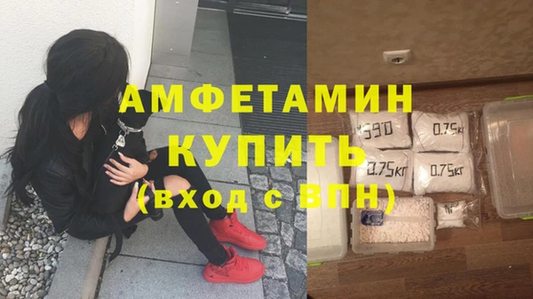 PSILOCYBIN Богданович