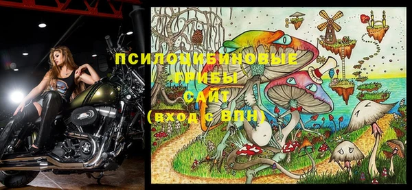 прущие крисы Беломорск
